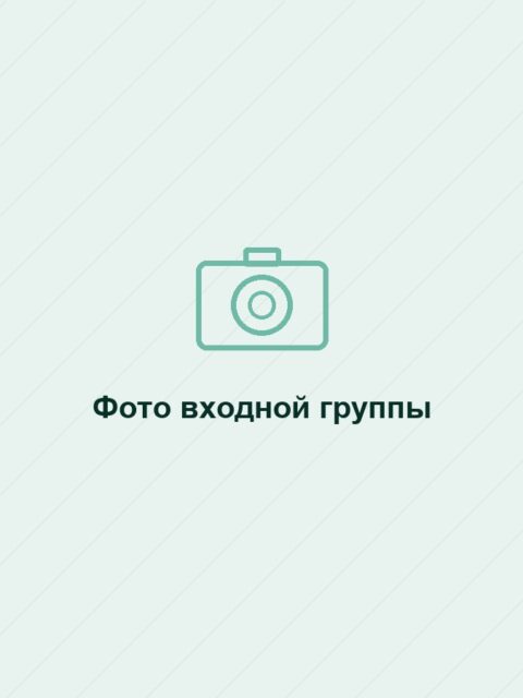 Фото входной группы
